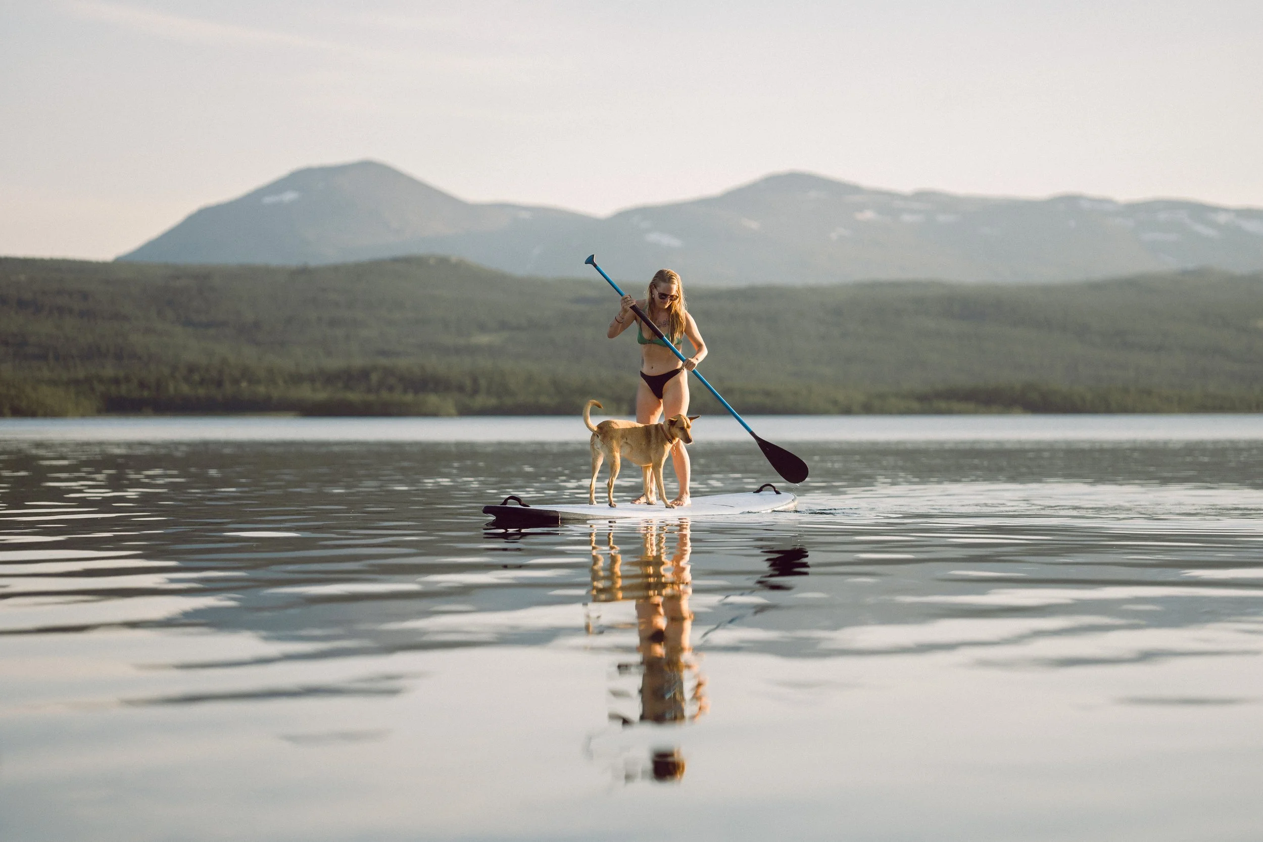 Norges Yogafestival photo 3