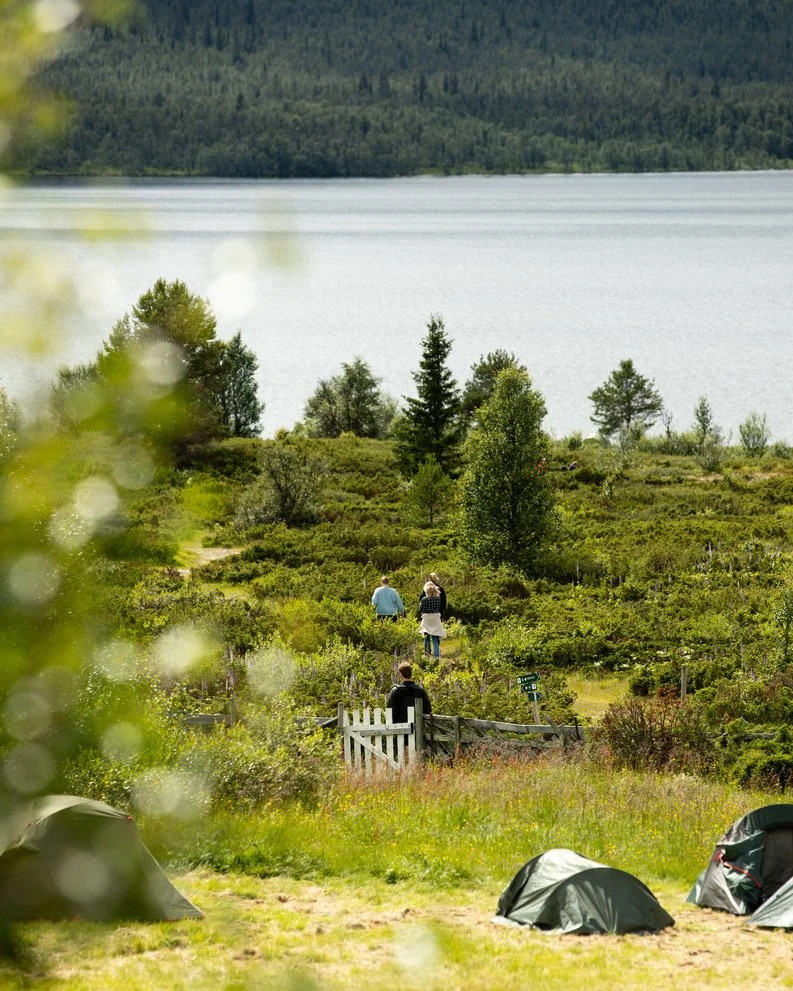 Norges Yogafestival photo 37